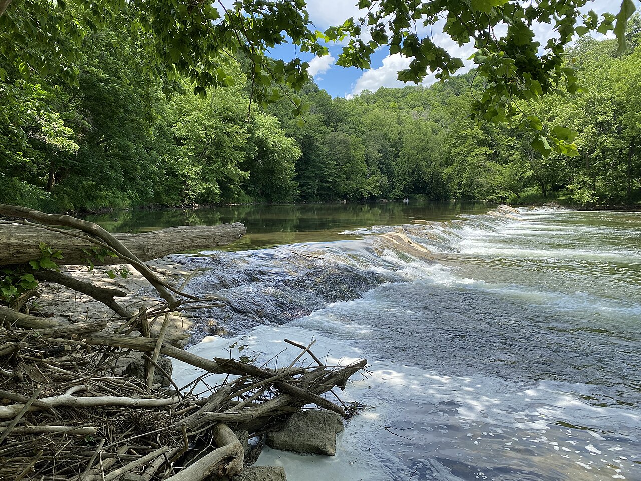 The Clinch River and its forested banks at Clinch River State Park